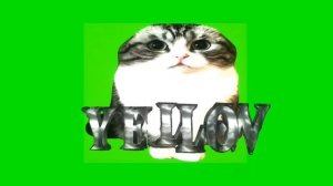 вд для YELLOW