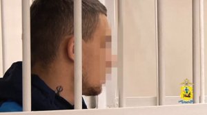 В аэропорту Архангельска задержан нелегал, который вёз аферистам похищенные у женщины 6 млн рублей