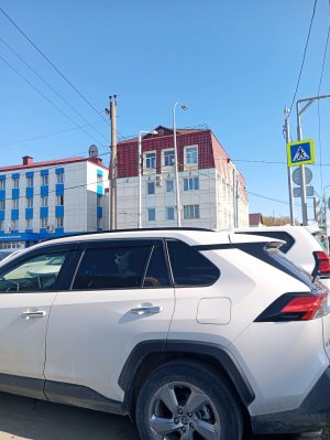 мила цветкова  вот