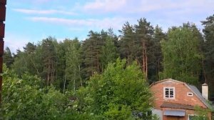 ОЛЕНЬ В СЕБЯ ПОВЕРИЛ