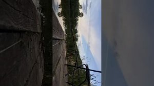 🐟🐟🎏 рыбалка на поплавковую удачку ( Егор 56 к )