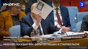 Небензя показал ООН фото погибших в Старобельске