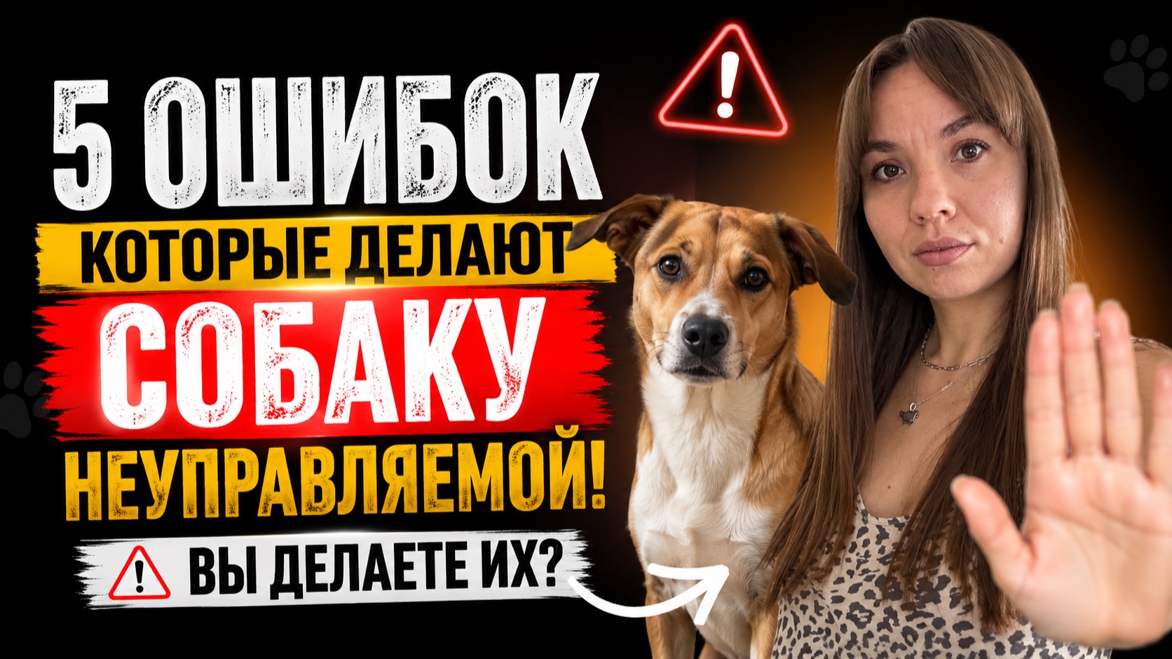 5 ошибок владельцев, которые делают собаку неуправляемой