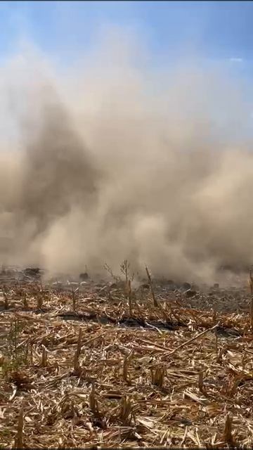 Дискант-Мега🔥 от Willock Farm💪 в Агрозапчасть-Уфа Башкортостан