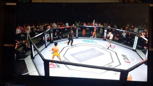 Брюс Ли и Юрий Бойко бой в UFC 3