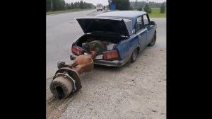 #смешныевидео -1467