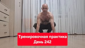 Тренировочная практика. День 242