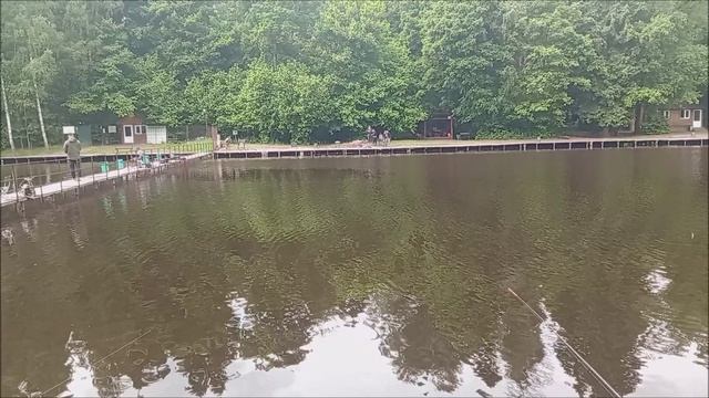 Поимки осетра и форели на Нижнем водоёме. Клёвое место лосиный остров.