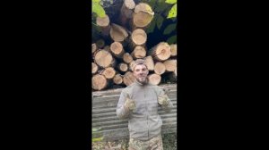 Слон Серёга