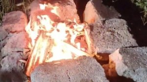 ✨🌿✨ Шашлык маринуется, а мы увлеклись семечками✨🌿✨