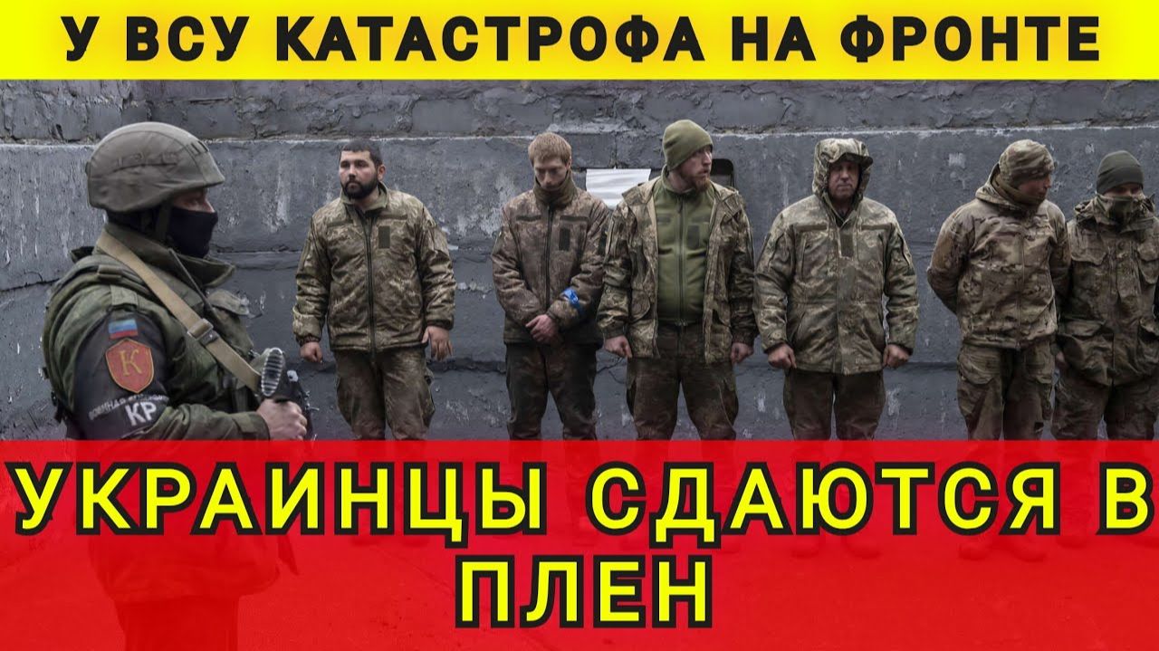ФРОНТ РУХНУЛ ❗НАЧАЛИСЬ КОТЛЫ❗КОЛОБОК ☺️ колобок из одессы ❗ одесский бродяга смотреть онлайн
