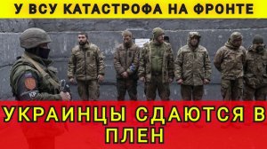 ФРОНТ РУХНУЛ ❗НАЧАЛИСЬ КОТЛЫ❗КОЛОБОК ☺️ колобок из одессы ❗ одесский бродяга