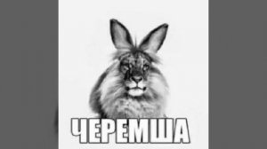 черемша мем