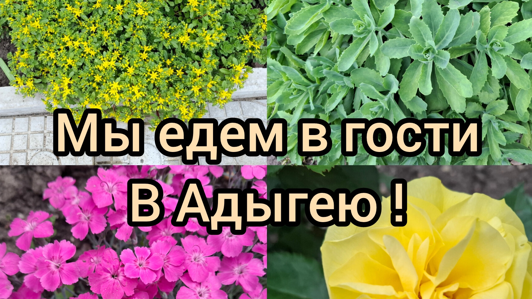 29.05.26/ Мы едем в гости в Адыгею/ Живём и работаем на Кубани/ Жизнь семьи после переезда на юг/ смотреть онлайн