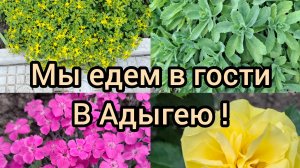 29.05.26/ Мы едем в гости в Адыгею/ Живём и работаем на Кубани/ Жизнь семьи после переезда на юг/