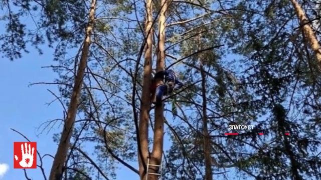 Взрослую девушку пришлось снимать с дерева. А на реке спасли двух взрослых и трех детей
