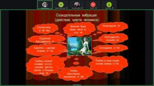 Применение Программ МЭЦ  02.06.2026