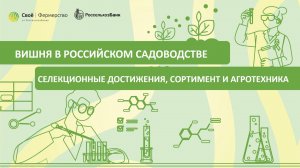 Вишня в российском садоводстве: селекционные достижения, сортимент и агротехника