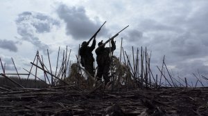 Охота на гуся в моем любимом скрадке. Классно закрылись. Goose hunting at my favorite blind