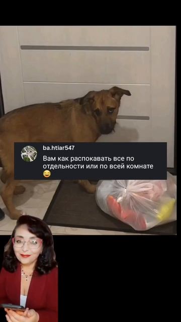 Заведи собаку и будешь вовремя выносить мусор