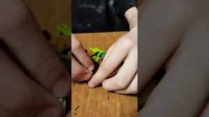 Лего роботы для сезона мусорная планета🪐