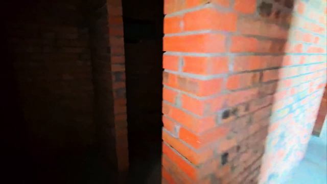 49973.mp4