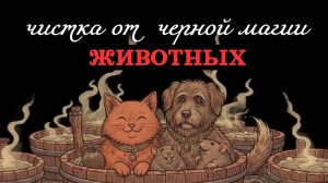 ЧИСТКА ЖИВОТНЫХ 02.06.2026