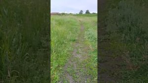 катаюсь на квадрике