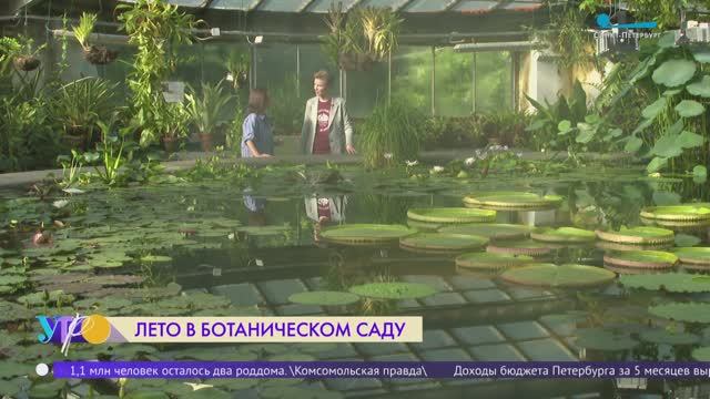 В Ботаническом саду Петра Великого начал работать водный маршрут