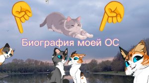 Биография моей ОС! Пишите в коммах на какую сью сделать реакцию.