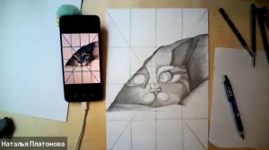 Котенок выглядывает (простой карандаш)