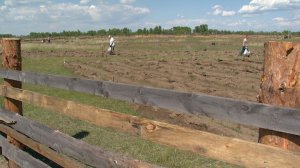 Геоглиф в форме солярного знака возле Сапогово восстановлен