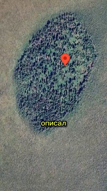 Тайна которую скрывают болота #shorts #rutubeshorts #travel #russia #подгорное #болото #село#сибирь