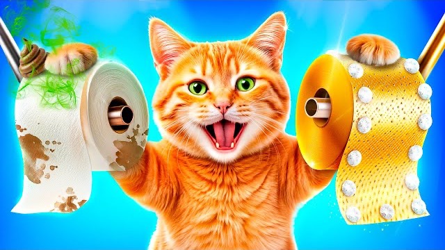 Богатый vs бедный кот! Лайфхаки и гаджеты для владельцев домашних животных! смотреть онлайн