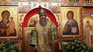 Проповедь епископа Павлово-Посадского Силуана в День Святого Духа 1 июня 2026 г.