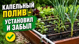 СИСТЕМА, КОТОРАЯ РАБОТАЕТ ЗА ВАС!