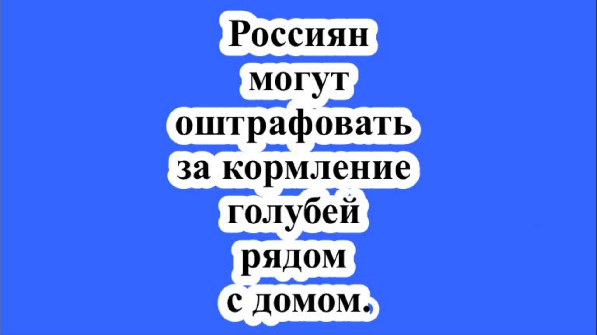 Россиян могут оштрафовать за кормление голубей рядом с домом.