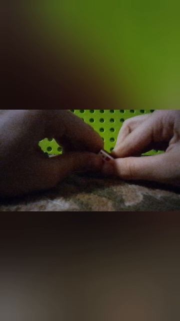 КАКТУС И ТОРТ ИЗ ЛЕГО