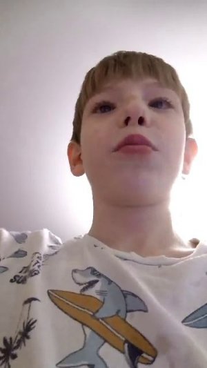 Да или нет