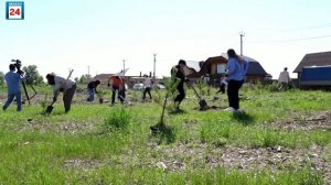 «Зеленый» барьер от дорожной пыли и шума: свыше полусотни сосен высадили абаканцы в 10 жилом районе