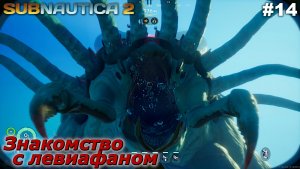 Знакомство с левиафаном   |   Subnautica 2   |   #14