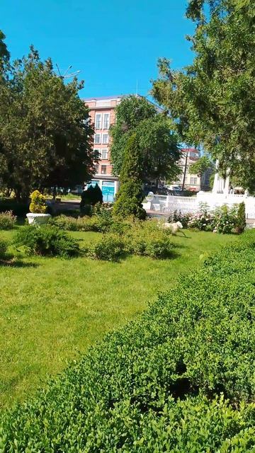 «Борзую не догонишь? Ой ли! Такса Сара и подружка Юкки доказывают обратное. Провокация дня!» ⚡