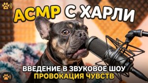 Мультики для детей. АСМР «Кто там в банке?» Выпуск 7
