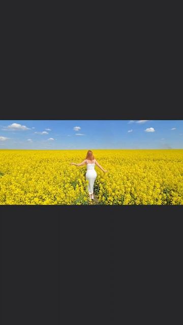 Беларусь ❤️ #подпишись #художниктатьянадедова #тренд #рек #топ #арт #артист #мечта #живопись #рисуно