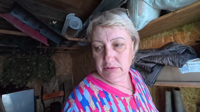 Малосольных хочется. Фото документов. Как так жить? смотреть онлайн