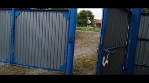 ПРИГОТОВИЛА🥘 И ОТДЫХАЮ😊 ЕЖЕГОДНЫЙ ПРОБЕГ🏃♀️🏃♂️
