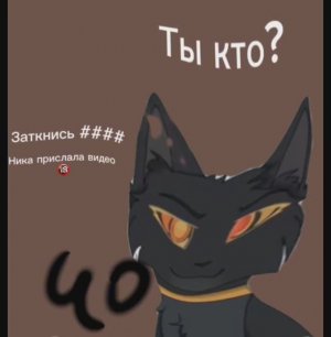 Какие-то гномики матершильники ДОБОВЛЯЮТ меня в чаты с контентом...