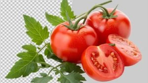 ОРГАНИКА И ПОМИДОРЫ