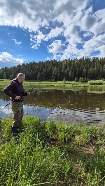 Рыбалка на спиннинг 🎣