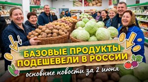 Базовые продукты подешевели в России, борьба с фальшивами справками и правами - новости за 2 июня